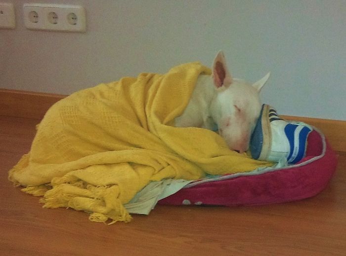 cori y su forma de dormir