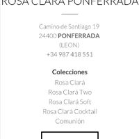 Rosa clará en león - 1