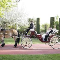Carro de caballos!