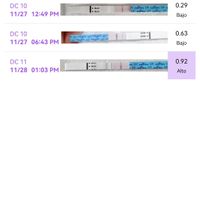 Buscadoras Noviembre 2022 - 1