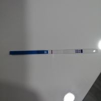 Buscadoras más de 1 año - 2022 - 1