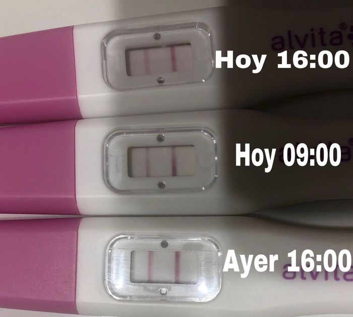 Test ovulación 🤯🤯 1