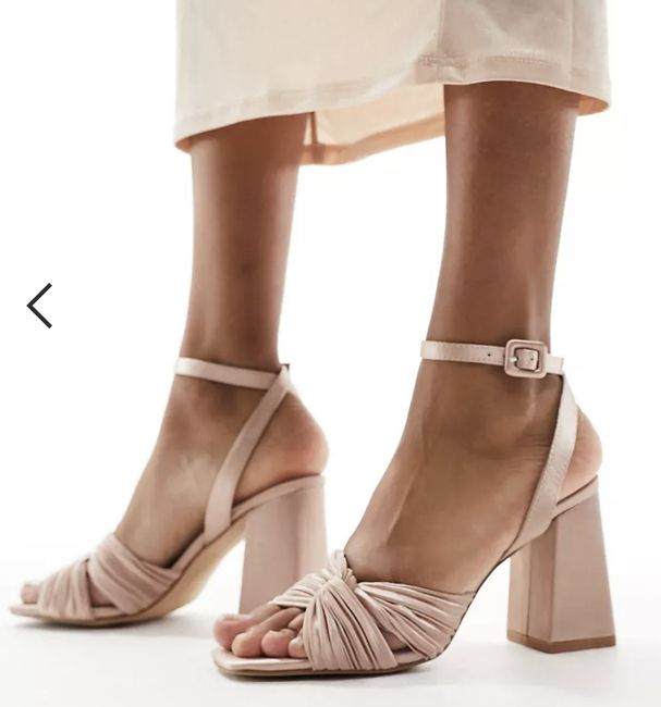 Tema zapatos para el dia b 5