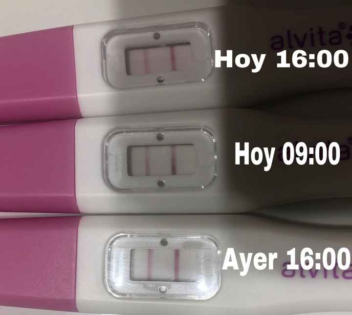Test ovulación 🤯🤯 - 1