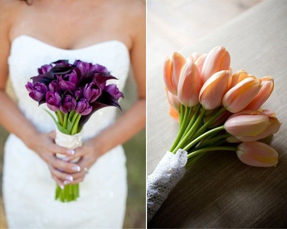 tulipanes
