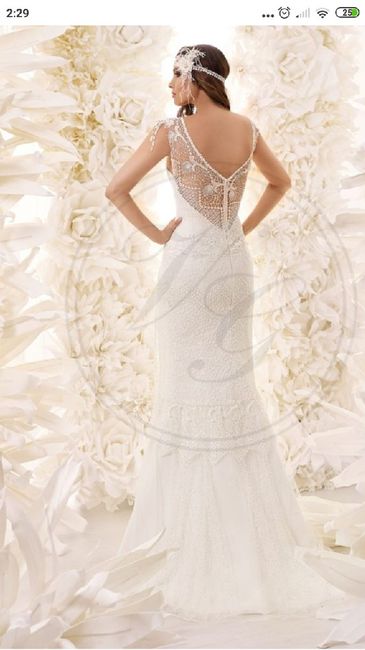 Ya tengo mi vestido deseado - 2