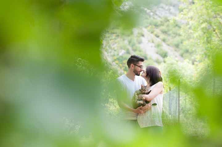 Preboda con nuestra gata lola - 5