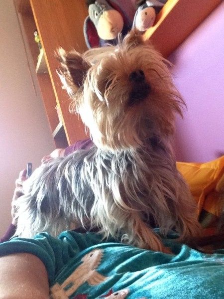 My baby