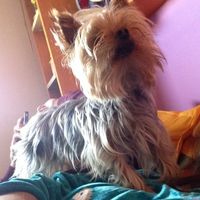 My baby