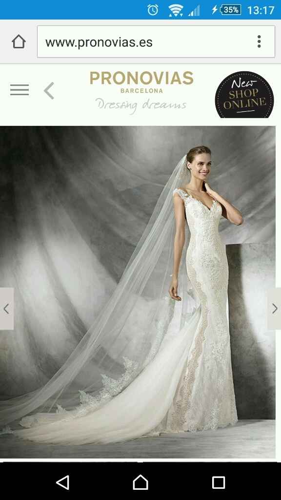 Mi vestido - 1