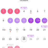 Buscadoras Octubre y Noviembre 2023 - 1