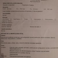 Buscadoras después de uno o varios abortos iii - 1