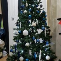  Primeras Navidades de casados!🌟🎄 - 2