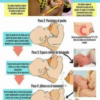 Futuras mamás agosto 2019 - 1