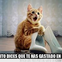 Surprise!