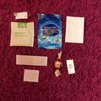Kit de supervivencia - 1