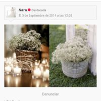 Boda palasiet - 1