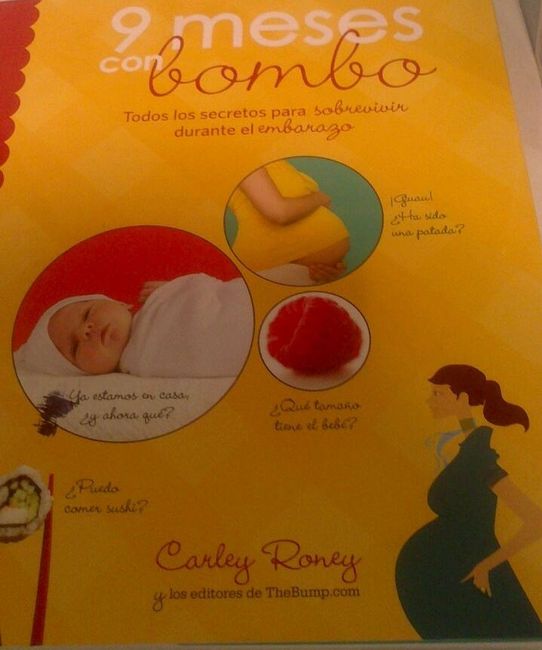 Libro "9 meses con bombo"