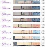 Buscadoras junio 2024 - 1