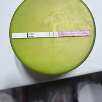 Buscadoras junio 2024 - 3