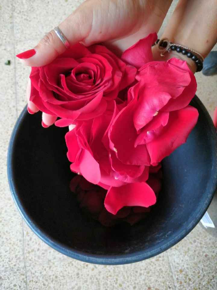 Pétalos preparados 🌹 - 1