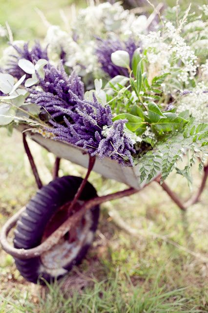 Lavanda como decoración - 2