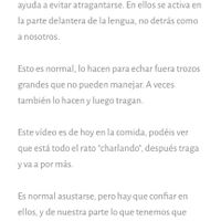 Nuevo!! Futuras mamás agosto 2018 - 1