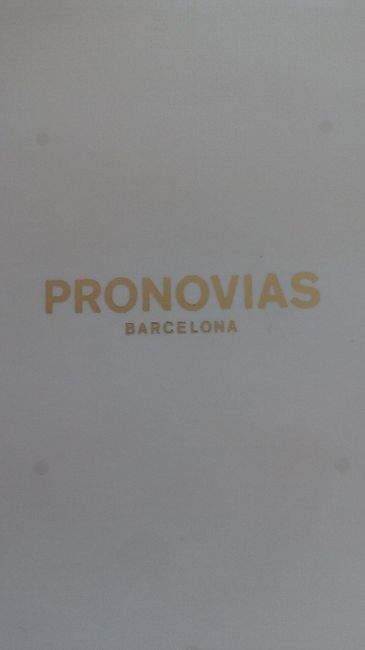 Ya tengo mi vestido - 1