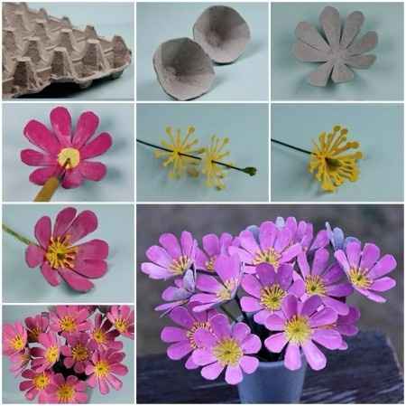 Flores