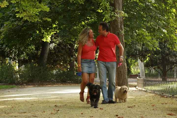 Preboda perruna - 1