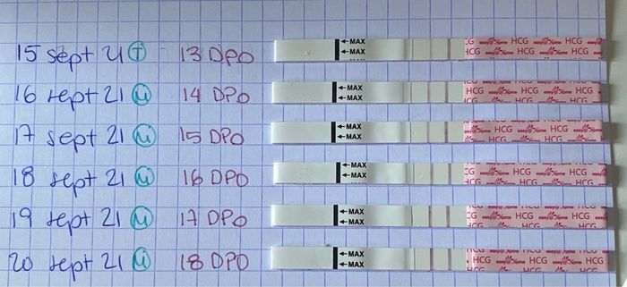 Proceso tratamiento fiv - 2