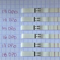 Proceso tratamiento fiv - 2