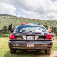 Coche alquiler Policia Antiguo - 1