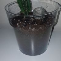 ¿Eres ADICTA a estos detalles? - 1