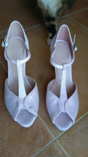 ¿De qué color serán tus zapatos? - 1