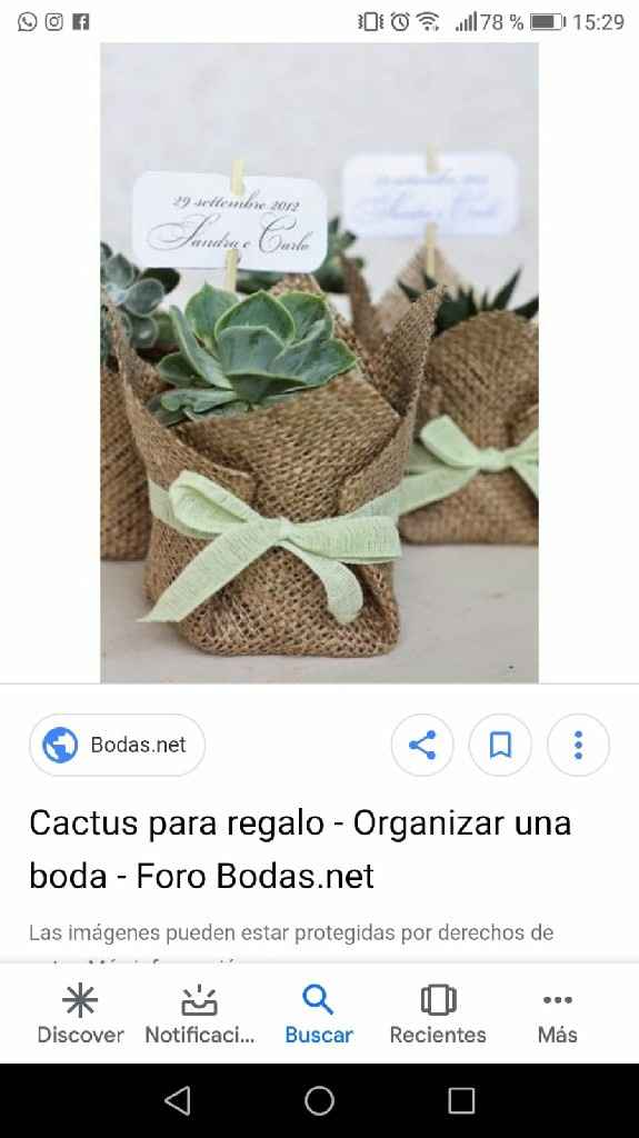 Detalle:  Cactus por persona? - 1