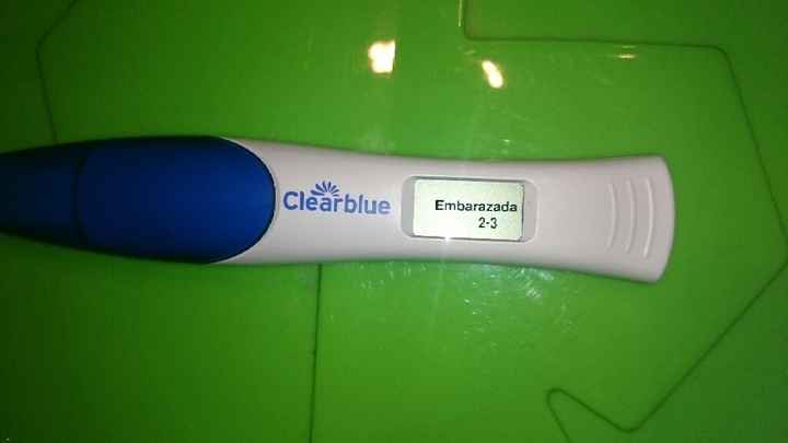 Buscadoras enero 2016 - 1