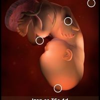 Mamas Febrero 2015 - 1