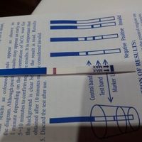 Test de embarazo