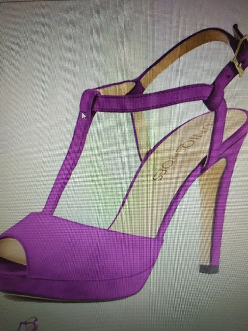 Zapatos 1