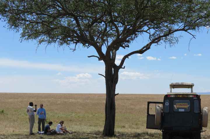 picnic en masai mara