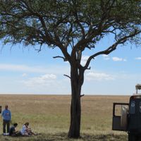 picnic en masai mara