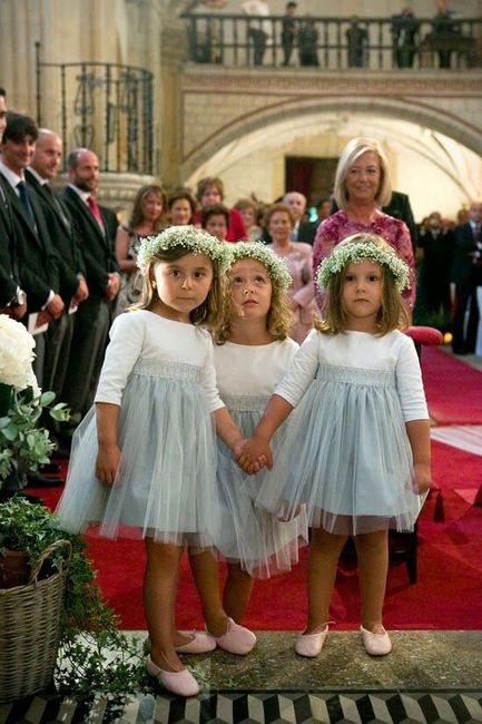  Boda tricolor! Las damas de honor!! - 3