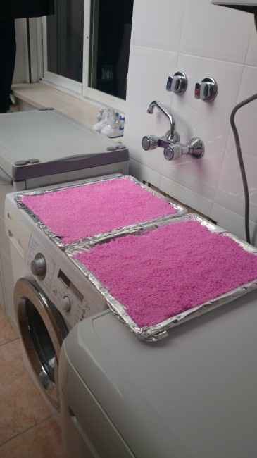 mi arroz tintado 