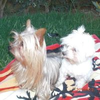 cati y luna