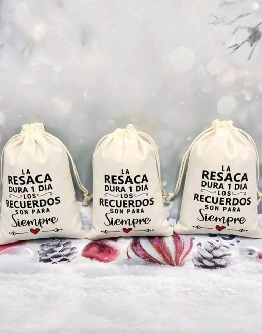 Dudas sobre Bolsa anti resaca 1