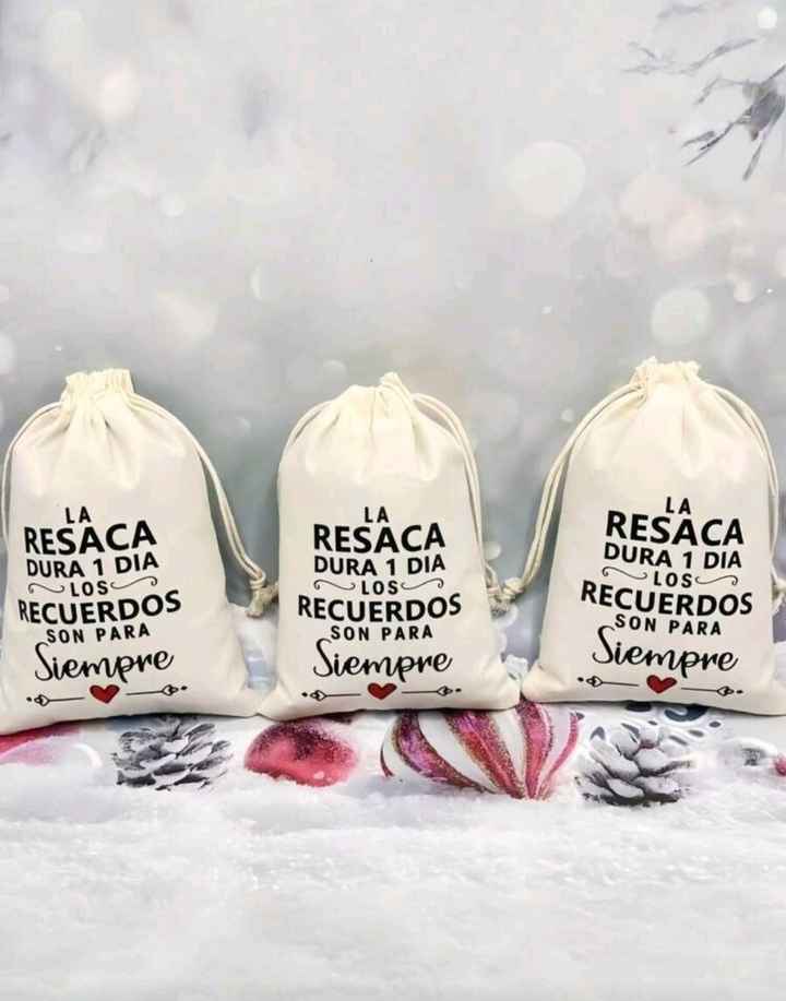 Dudas sobre Bolsa anti resaca - 1