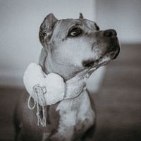 Enamorada de las fotos - 1