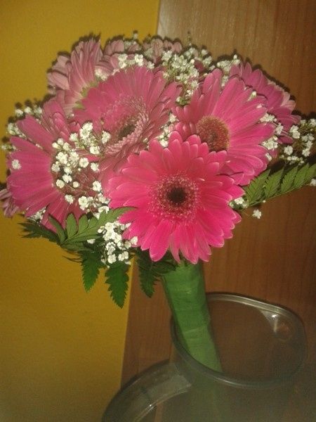 Desanimada con las floristerías - 1