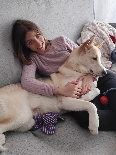 Mascotas en casa: ¿sí o no? - 2
